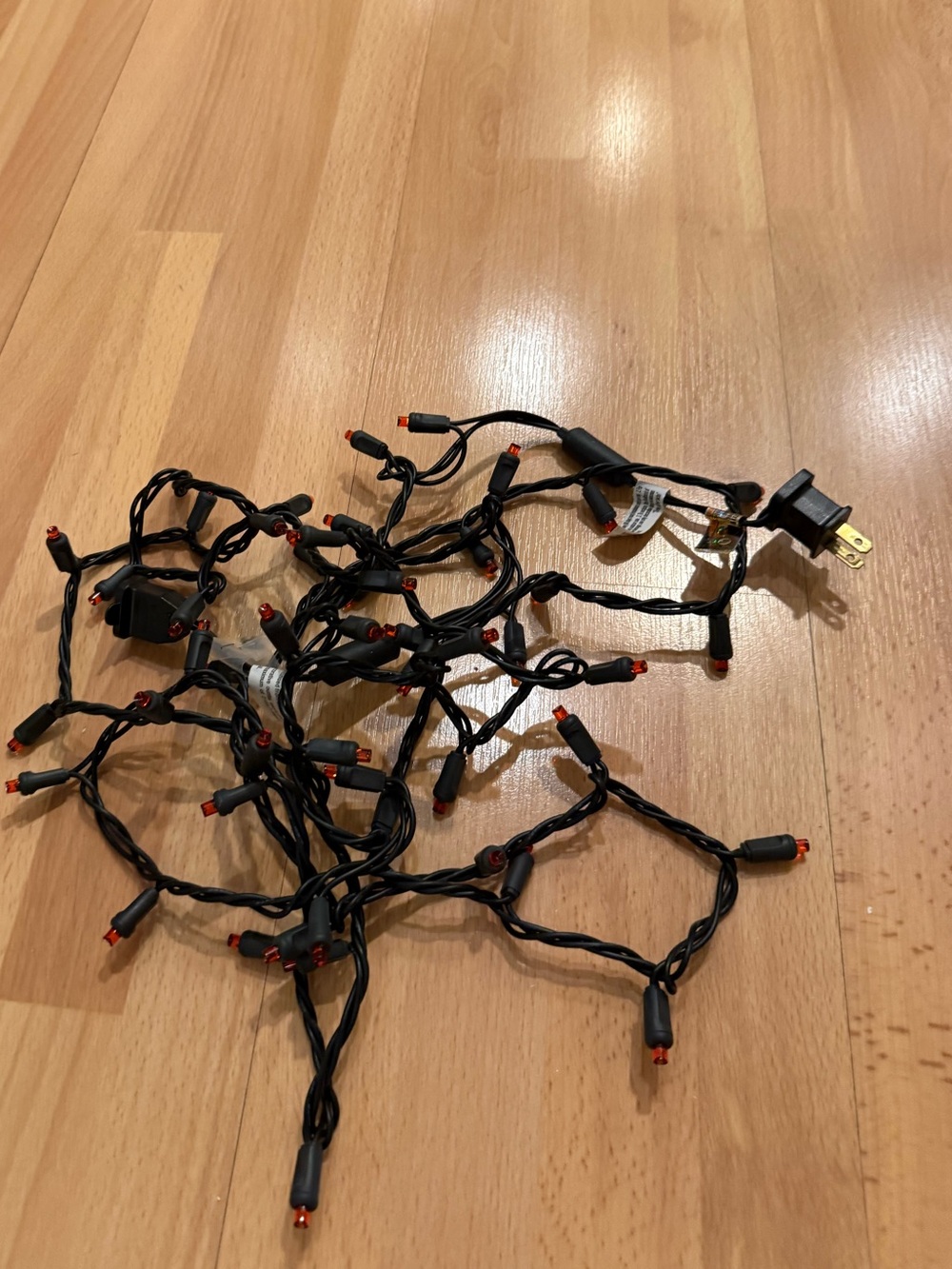 String Lights with Red Tips - Black Cord